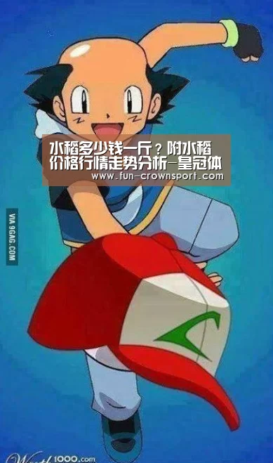 皇冠入口